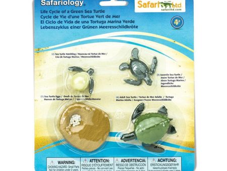 Safari Ltd. Life Cycle of a Green Sea Turtle Hot on Sale