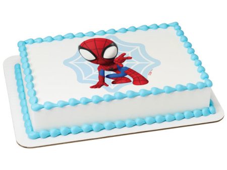 MARVEL Spidey and His Amazing Friends Spidey Web Edible Cake Topper image Supply