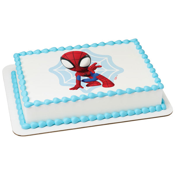 MARVEL Spidey and His Amazing Friends Spidey Web Edible Cake Topper image Supply